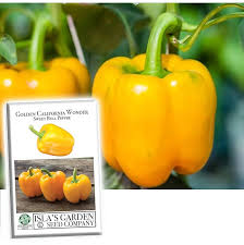 Afbeeldingsresultaat voor californian wonder golden sweet pepper