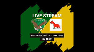 Image result for Effingham and Leatherhead Rfc