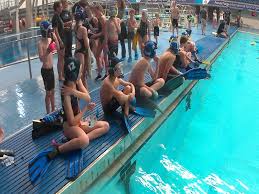 Image result for Orkney Octopush Club