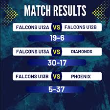 Image result for Normanton Falcons Netball Club