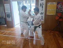 Image result for Zen Shin Seicho Do Adult Karate