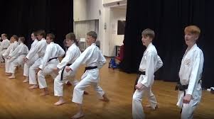 Image result for York University Karate Club