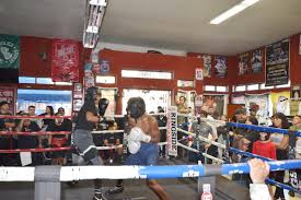 Image result for Uwe Boxing Club