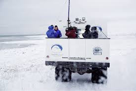 Image result for tundra buggy