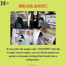 Image result for 241543903