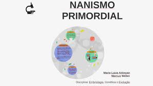 Image result for Nanismo Primordial