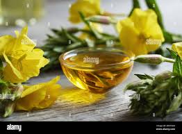 Attēlu rezultāti vaicājumam “Oenothera biennis flower”