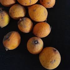 Attēlu rezultāti vaicājumam “Galium rivale fruit”