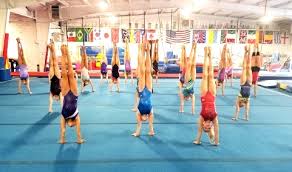 Image result for United Gym Academy Ltd