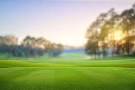Image result for Tamworth Gc