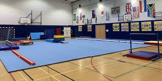 Image result for Sheredes Gymnastics Club