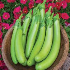 Afbeeldingsresultaat voor bianca a uovo eggplant