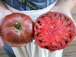 Afbeeldingsresultaat voor dark purple beefsteak tomato