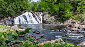 Image result for Bristol North Sc