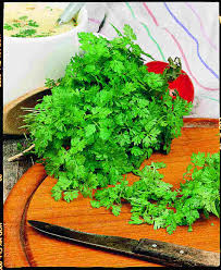 Image result for Anthriscus cerefolium