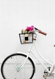 Image result for bicycle basket
