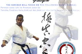 Image result for Kyokushin Karate