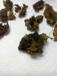 Attēlu rezultāti vaicājumam “Fuligo septica cf. septica”