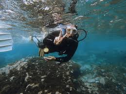 Image result for Exe To Sea Diving