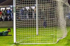 Image result for Whitby Rugby Union Football Club