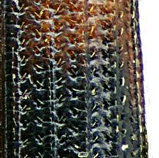 Attēlu rezultāti vaicājumam “Bitoma crenata”