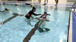 Image result for Notanx Freedive Club