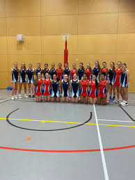 Image result for Weston Park Netball Club