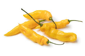 Afbeeldingsresultaat voor mme jeanette hot pepper