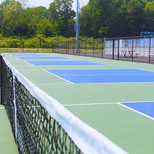 Image result for PICKLEBALL GORLESTON