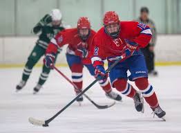 Image result for Tenbury Hockey Club