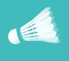 Image result for Knowle Badminton Club