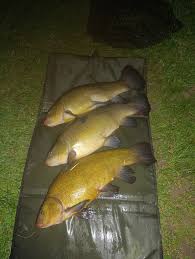 Image result for The Lancaster Fish