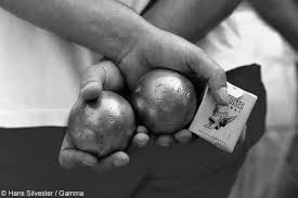 Image result for Petanque Wallingford