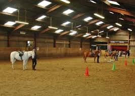 Image result for Blackpool & Fylde Horse Club