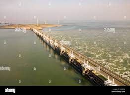 Image result for zeeland 1953