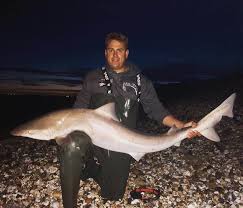 Image result for Chichester Sharks