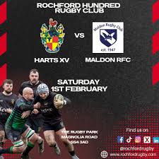 Image result for Rochford Hundred Rugby Club