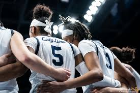 Image result for Birmingham University Lions