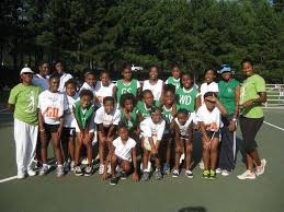 Image result for Netts