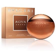 Attēlu rezultāti vaicājumam “Amara sp.”