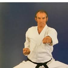 Image result for Twyford Higashi Karate Club