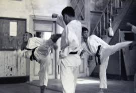 Image result for Absolute tae kwon do association
