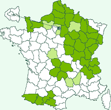 Attēlu rezultāti vaicājumam “Hydrelia sylvata”