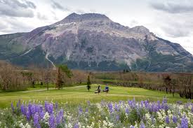 Image result for Waterton Park Golf Club Ltd