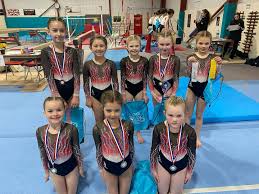 Image result for Wolverhampton Gymnastics Club