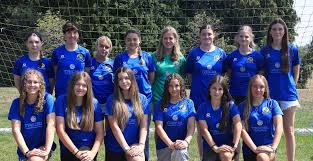 Image result for Hedingham Hawks Youth Football Club