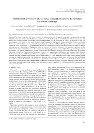 Attēlu rezultāti vaicājumam “Maculinea teleius underside”