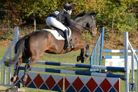 Image result for Elstead Riding Club