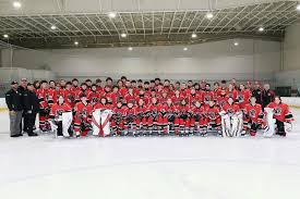 Image result for Northern Hockey Club