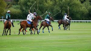 Image result for Liverpool Equestrian Club